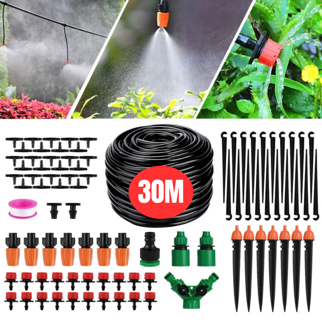 Système d'Irrigation Automatique