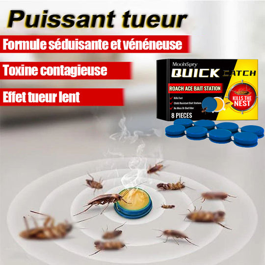 Appât empoisonné anti-cafards