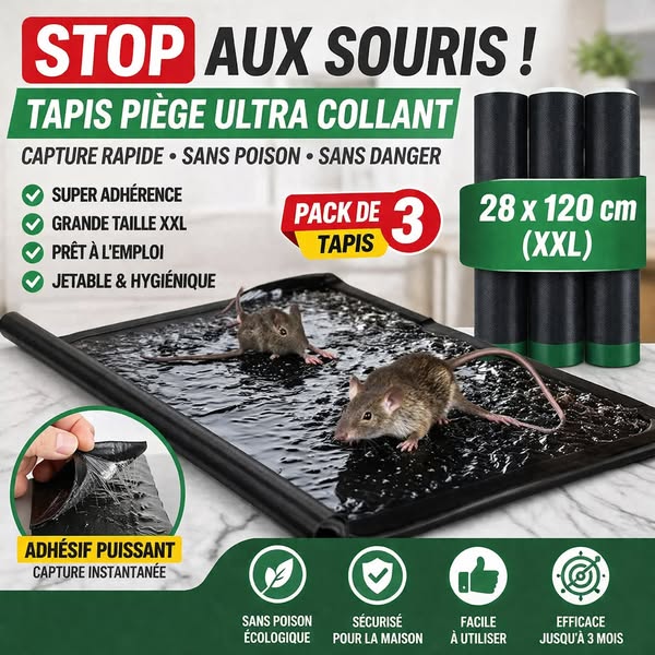 Tapis piège de souris ultra collant (3 tapis)
